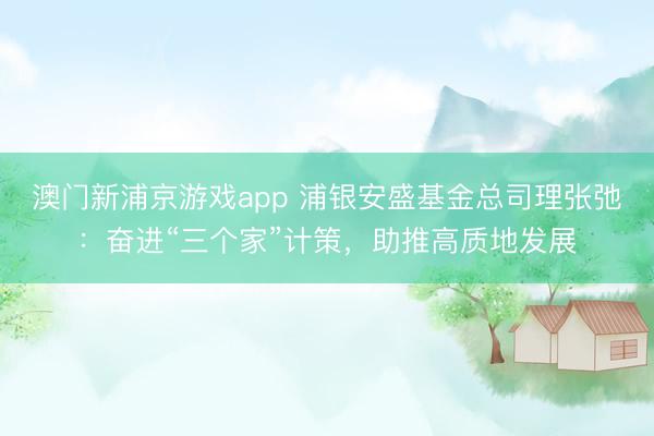 澳门新浦京游戏app 浦银安盛基金总司理张弛：奋进“三个家”计策，助推高质地发展
