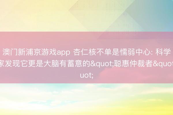 澳门新浦京游戏app 杏仁核不单是懦弱中心: 科学家发现它更是大脑有蓄意的"聪惠仲裁者"
